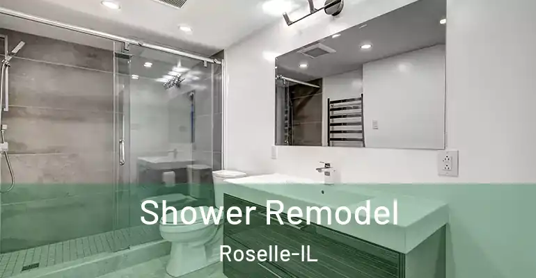 inner Bathroom imggen Shower Remodel Roselle-IL
