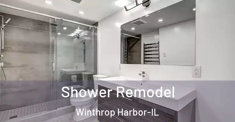 inner Bathroom imggen Shower Remodel Winthrop Harbor-IL