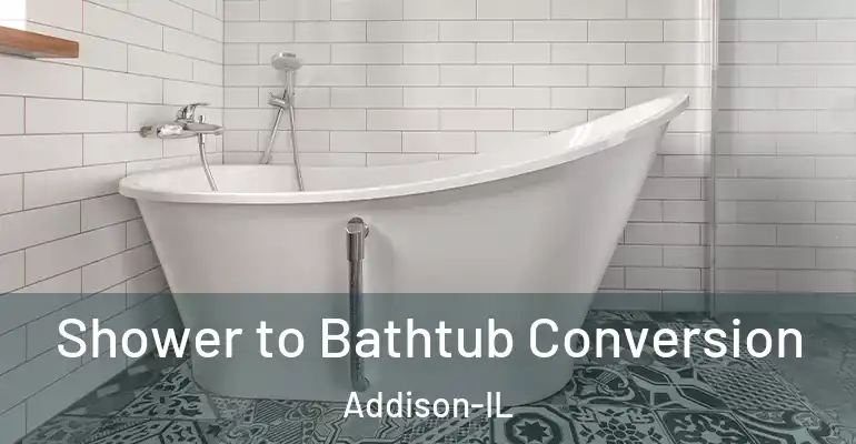 inner Bathroom imggen Shower to Bathtub Conversion Addison-IL