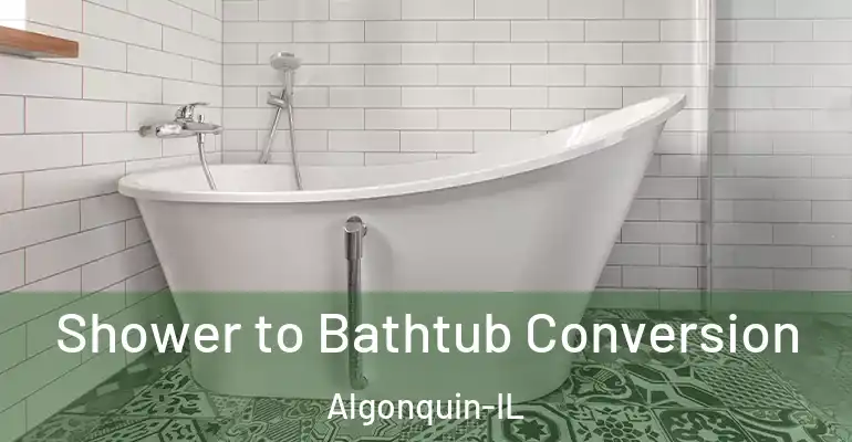 inner Bathroom imggen Shower to Bathtub Conversion Algonquin-IL
