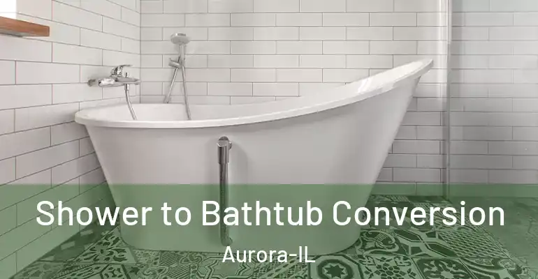 inner Bathroom imggen Shower to Bathtub Conversion Aurora-IL