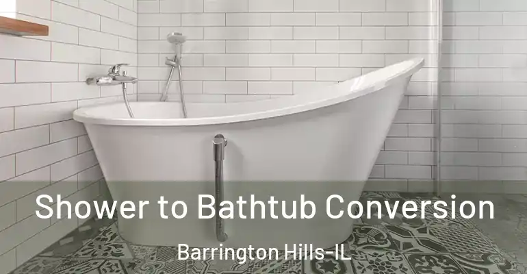 inner Bathroom imggen Shower to Bathtub Conversion Barrington Hills-IL