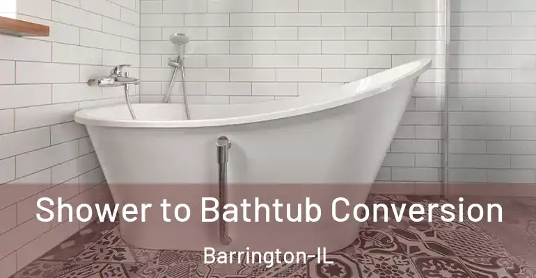 inner Bathroom imggen Shower to Bathtub Conversion Barrington-IL