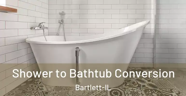 inner Bathroom imggen Shower to Bathtub Conversion Bartlett-IL