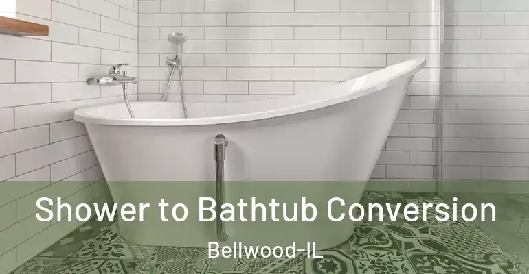 inner Bathroom imggen Shower to Bathtub Conversion Bellwood-IL