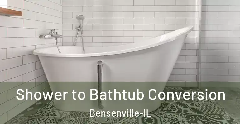 inner Bathroom imggen Shower to Bathtub Conversion Bensenville-IL