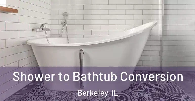 inner Bathroom imggen Shower to Bathtub Conversion Berkeley-IL