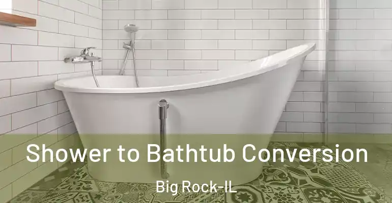 inner Bathroom imggen Shower to Bathtub Conversion Big Rock-IL