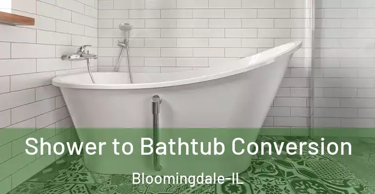inner Bathroom imggen Shower to Bathtub Conversion Bloomingdale-IL