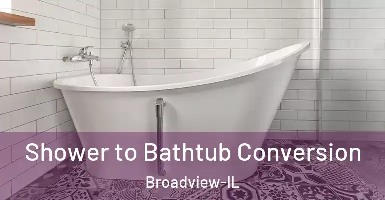 inner Bathroom imggen Shower to Bathtub Conversion Broadview-IL