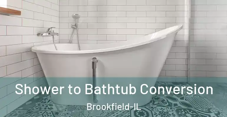 inner Bathroom imggen Shower to Bathtub Conversion Brookfield-IL
