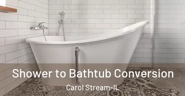 inner Bathroom imggen Shower to Bathtub Conversion Carol Stream-IL