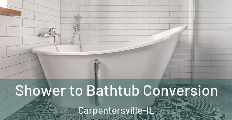 inner Bathroom imggen Shower to Bathtub Conversion Carpentersville-IL