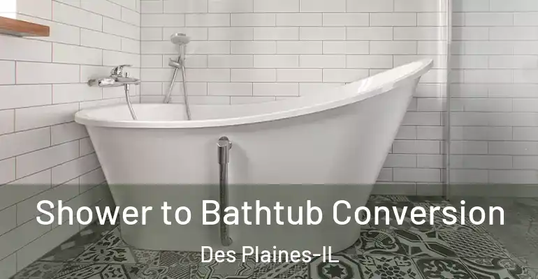 inner Bathroom imggen Shower to Bathtub Conversion Des Plaines-IL