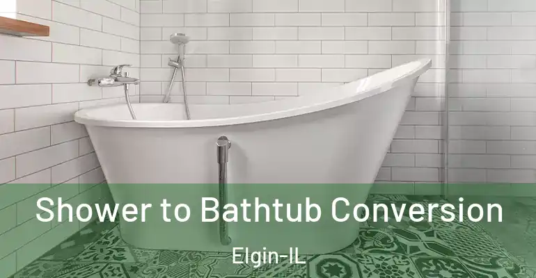 inner Bathroom imggen Shower to Bathtub Conversion Elgin-IL