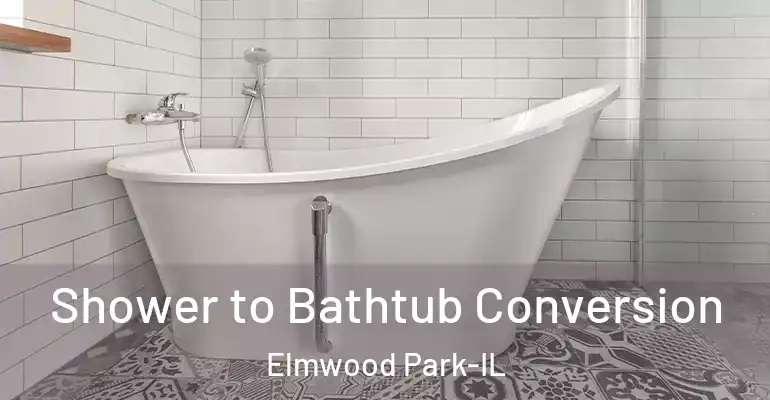 inner Bathroom imggen Shower to Bathtub Conversion Elmwood Park-IL