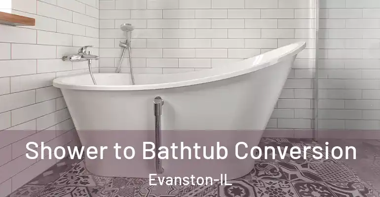 inner Bathroom imggen Shower to Bathtub Conversion Evanston-IL