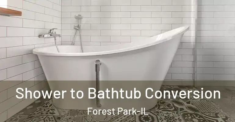 inner Bathroom imggen Shower to Bathtub Conversion Forest Park-IL