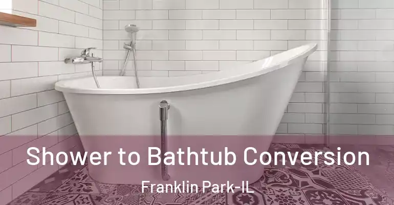 inner Bathroom imggen Shower to Bathtub Conversion Franklin Park-IL