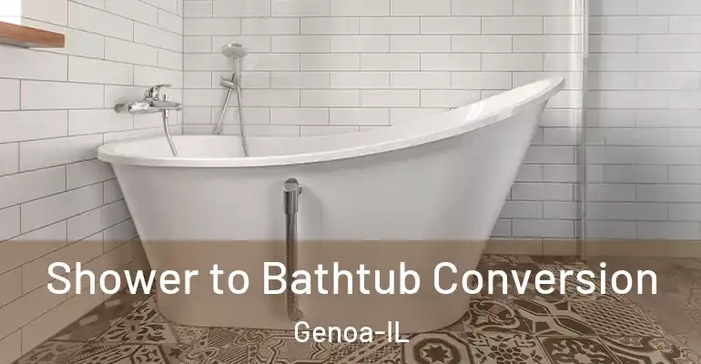 inner Bathroom imggen Shower to Bathtub Conversion Genoa-IL