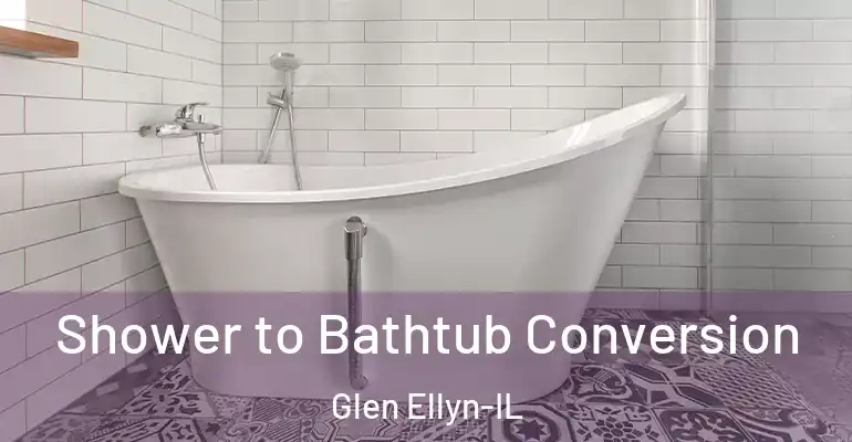 inner Bathroom imggen Shower to Bathtub Conversion Glen Ellyn-IL