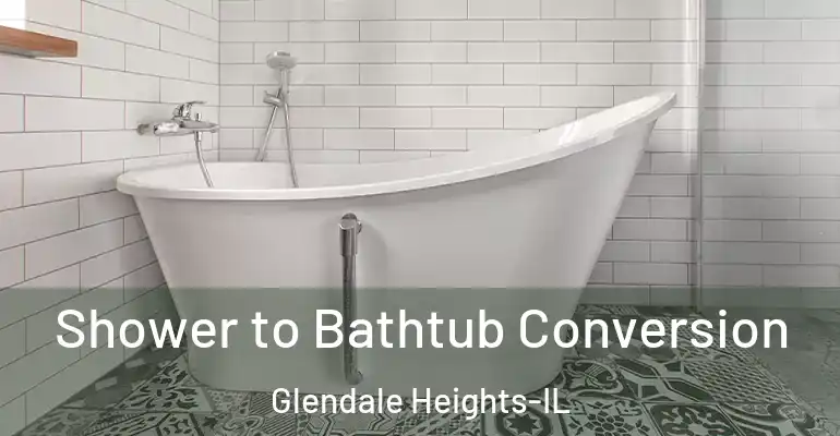 inner Bathroom imggen Shower to Bathtub Conversion Glendale Heights-IL