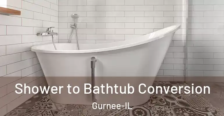 inner Bathroom imggen Shower to Bathtub Conversion Gurnee-IL
