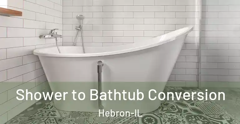 inner Bathroom imggen Shower to Bathtub Conversion Hebron-IL
