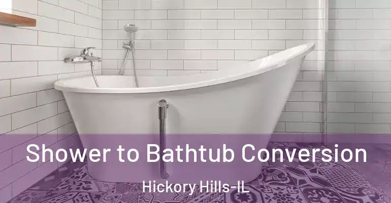 inner Bathroom imggen Shower to Bathtub Conversion Hickory Hills-IL
