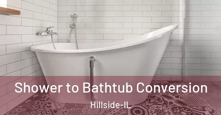 inner Bathroom imggen Shower to Bathtub Conversion Hillside-IL