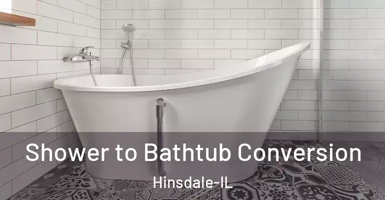 inner Bathroom imggen Shower to Bathtub Conversion Hinsdale-IL
