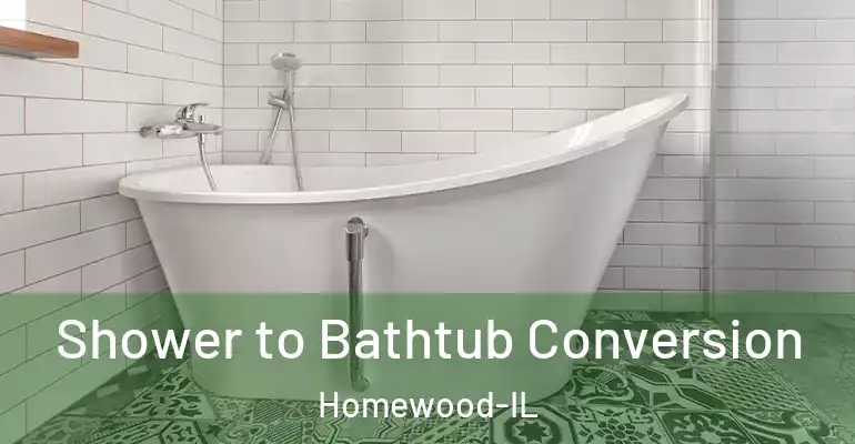 inner Bathroom imggen Shower to Bathtub Conversion Homewood-IL