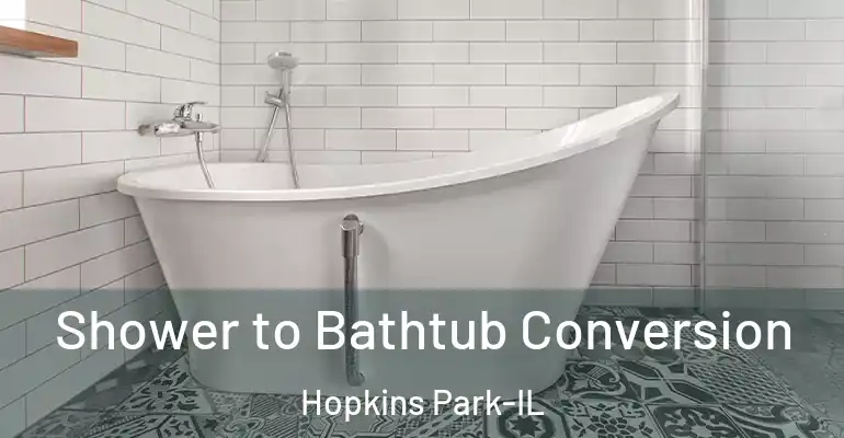 inner Bathroom imggen Shower to Bathtub Conversion Hopkins Park-IL
