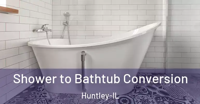 inner Bathroom imggen Shower to Bathtub Conversion Huntley-IL