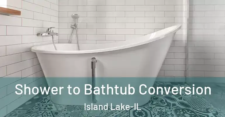 inner Bathroom imggen Shower to Bathtub Conversion Island Lake-IL