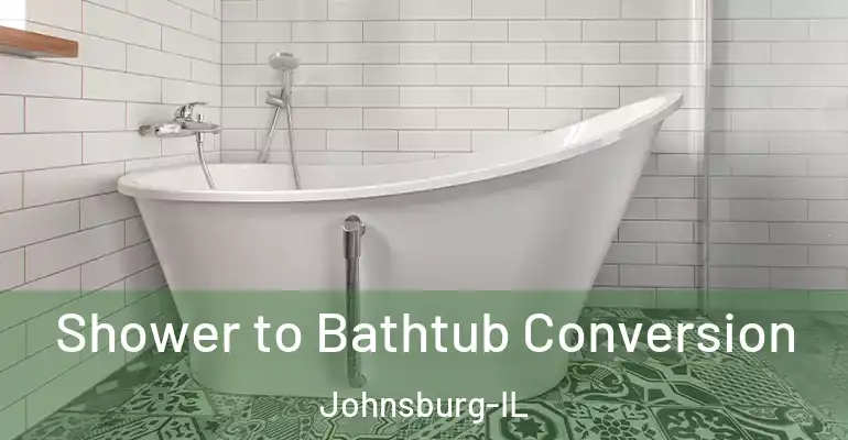 inner Bathroom imggen Shower to Bathtub Conversion Johnsburg-IL