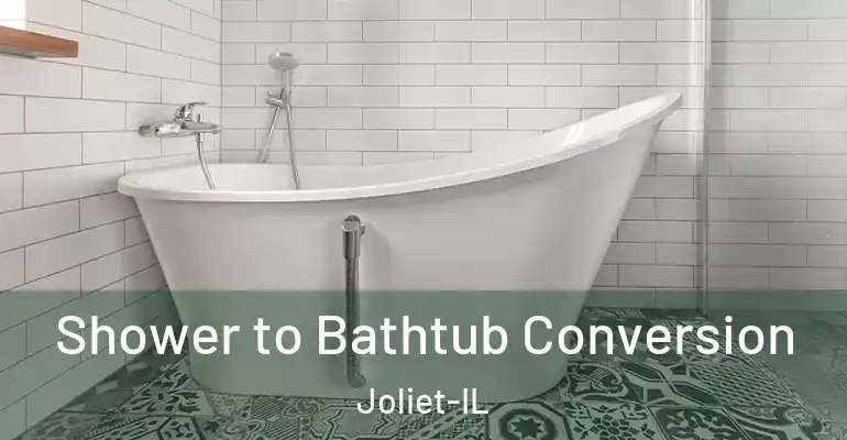 inner Bathroom imggen Shower to Bathtub Conversion Joliet-IL