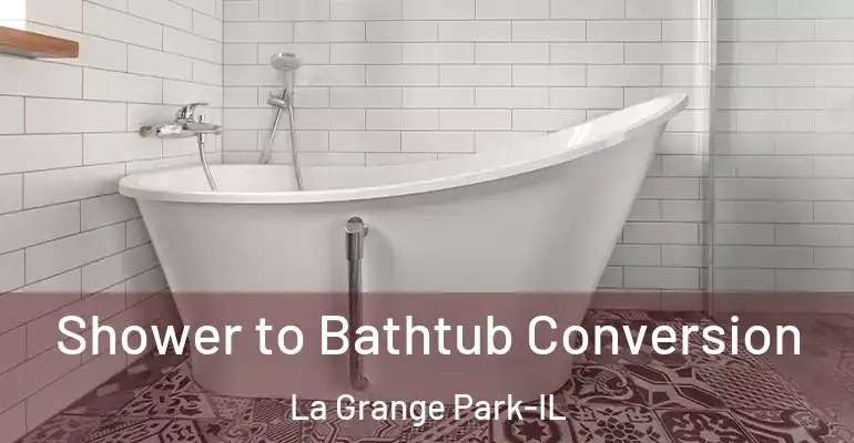 inner Bathroom imggen Shower to Bathtub Conversion La Grange Park-IL