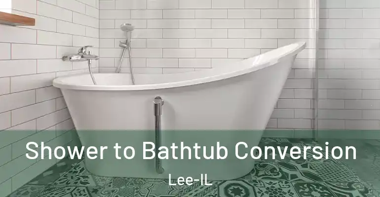 inner Bathroom imggen Shower to Bathtub Conversion Lee-IL