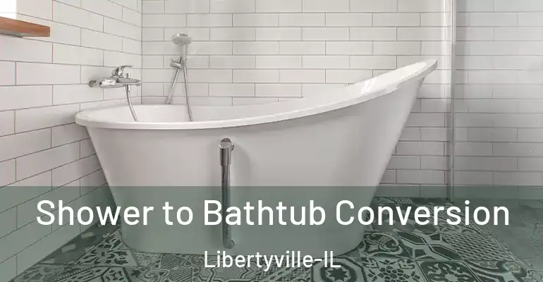 inner Bathroom imggen Shower to Bathtub Conversion Libertyville-IL