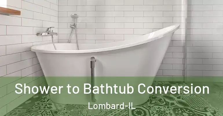 inner Bathroom imggen Shower to Bathtub Conversion Lombard-IL