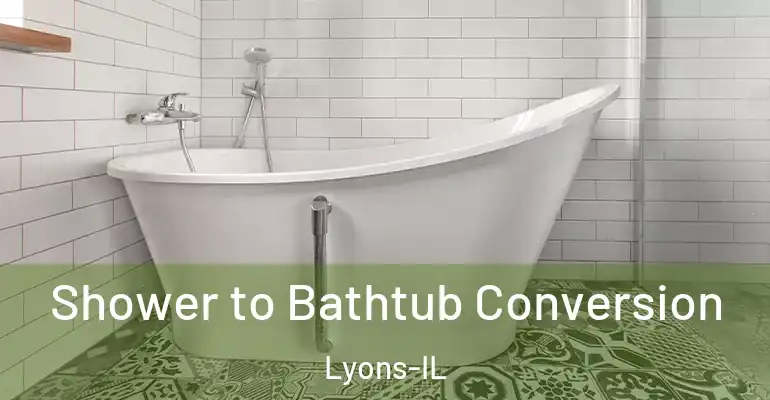 inner Bathroom imggen Shower to Bathtub Conversion Lyons-IL