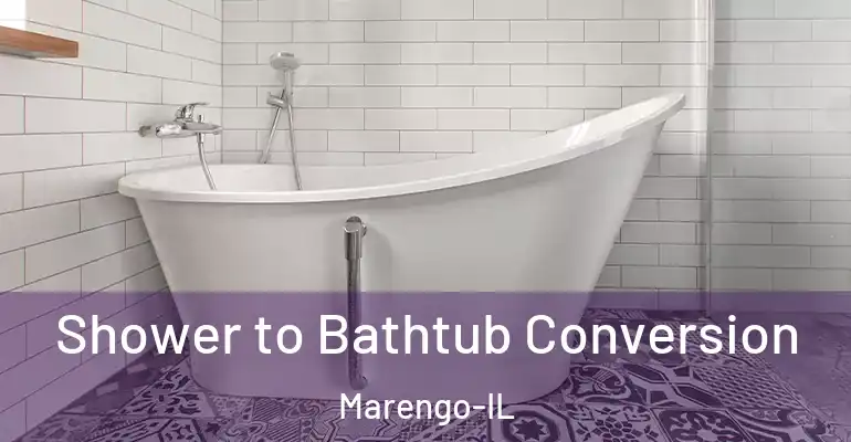 inner Bathroom imggen Shower to Bathtub Conversion Marengo-IL