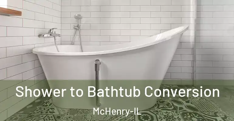 inner Bathroom imggen Shower to Bathtub Conversion McHenry-IL