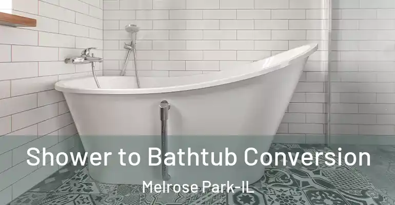 inner Bathroom imggen Shower to Bathtub Conversion Melrose Park-IL
