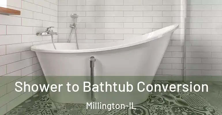 inner Bathroom imggen Shower to Bathtub Conversion Millington-IL