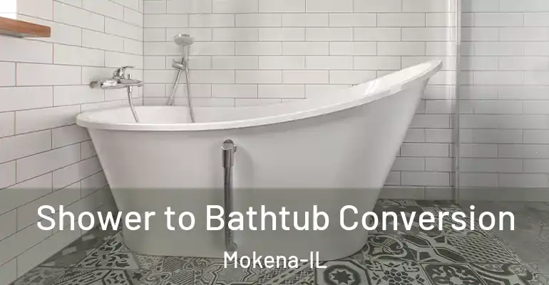 inner Bathroom imggen Shower to Bathtub Conversion Mokena-IL