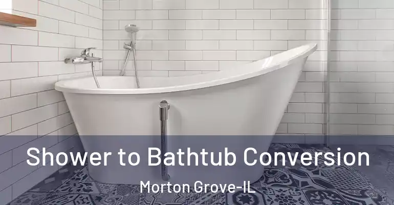 inner Bathroom imggen Shower to Bathtub Conversion Morton Grove-IL