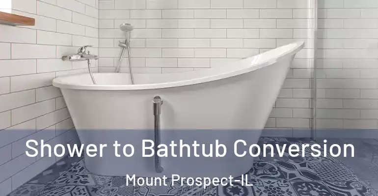 inner Bathroom imggen Shower to Bathtub Conversion Mount Prospect-IL