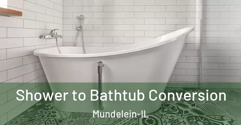 inner Bathroom imggen Shower to Bathtub Conversion Mundelein-IL